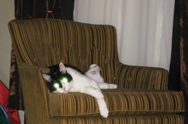 Player being Demon Kitty!